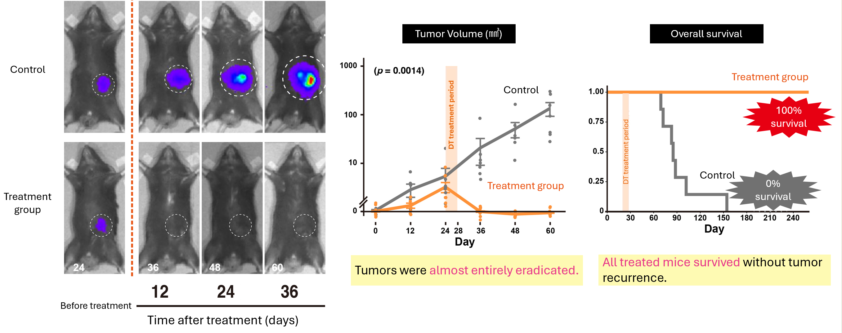 Disappearance of pancreatic cancer in mice