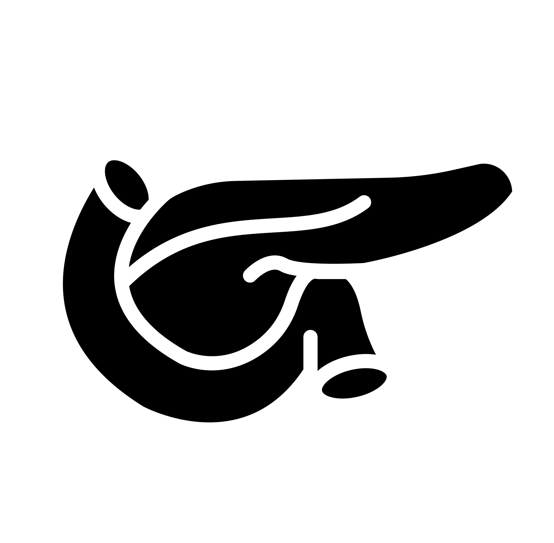 膵がん Icon